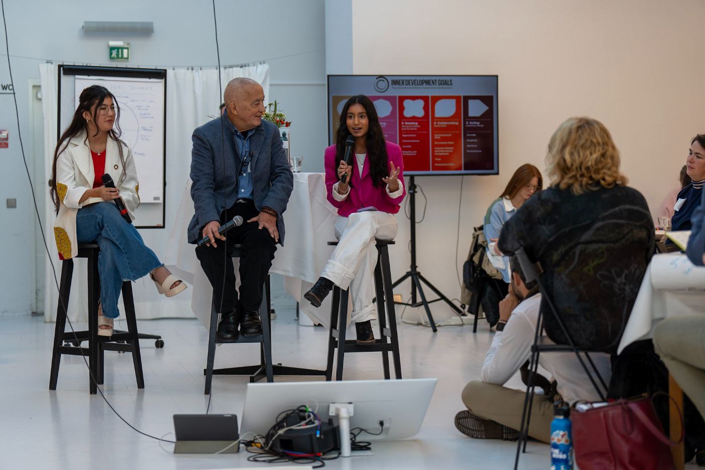 Inner Development Goals Summit panel, Stockholm